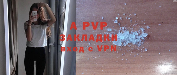 молекула духа Арсеньев