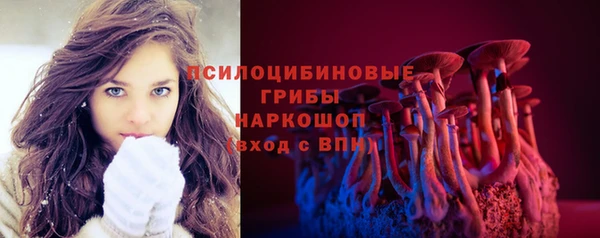 эйфоретик Аркадак