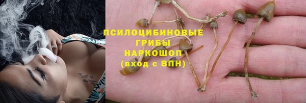 трава Армянск