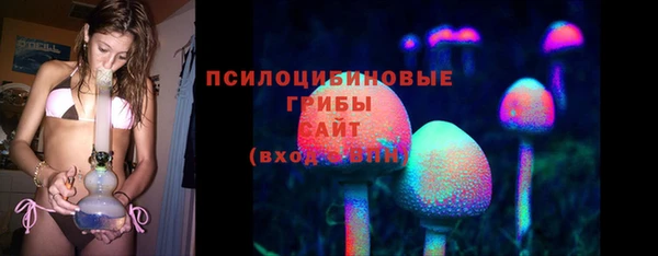 эйфоретик Аркадак