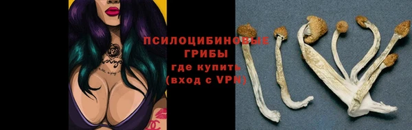 молекула духа Покров