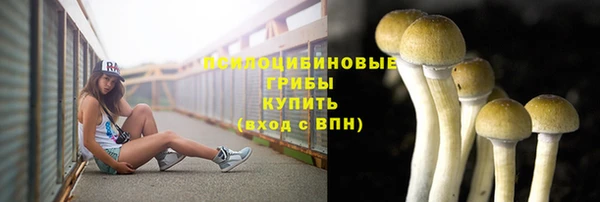 молекула духа Арсеньев