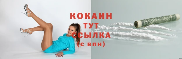 эйфоретик Аркадак