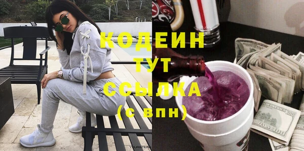 молекула духа Арсеньев