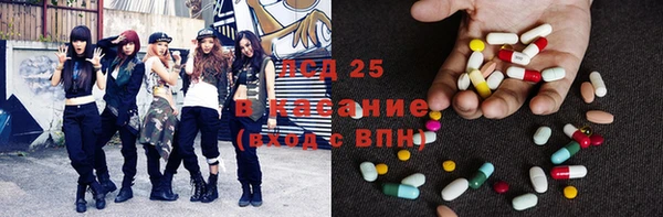 молекула духа Арсеньев