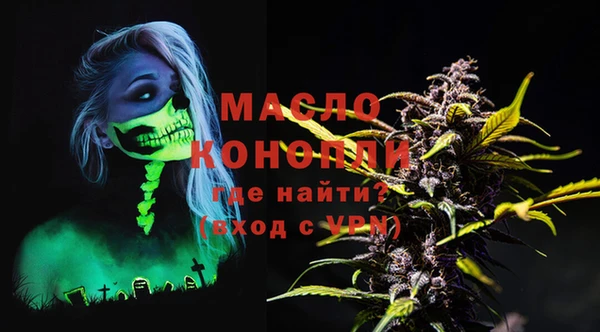 молекула духа Арсеньев