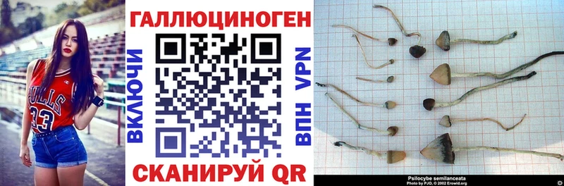 Галлюциногенные грибы ЛСД  купить наркоту  Межгорье 